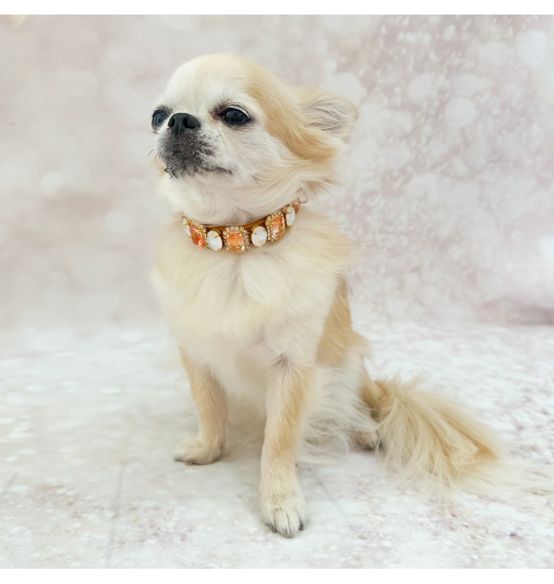 Amber Princess Collar
