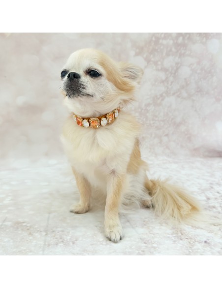 Amber Princess Collar