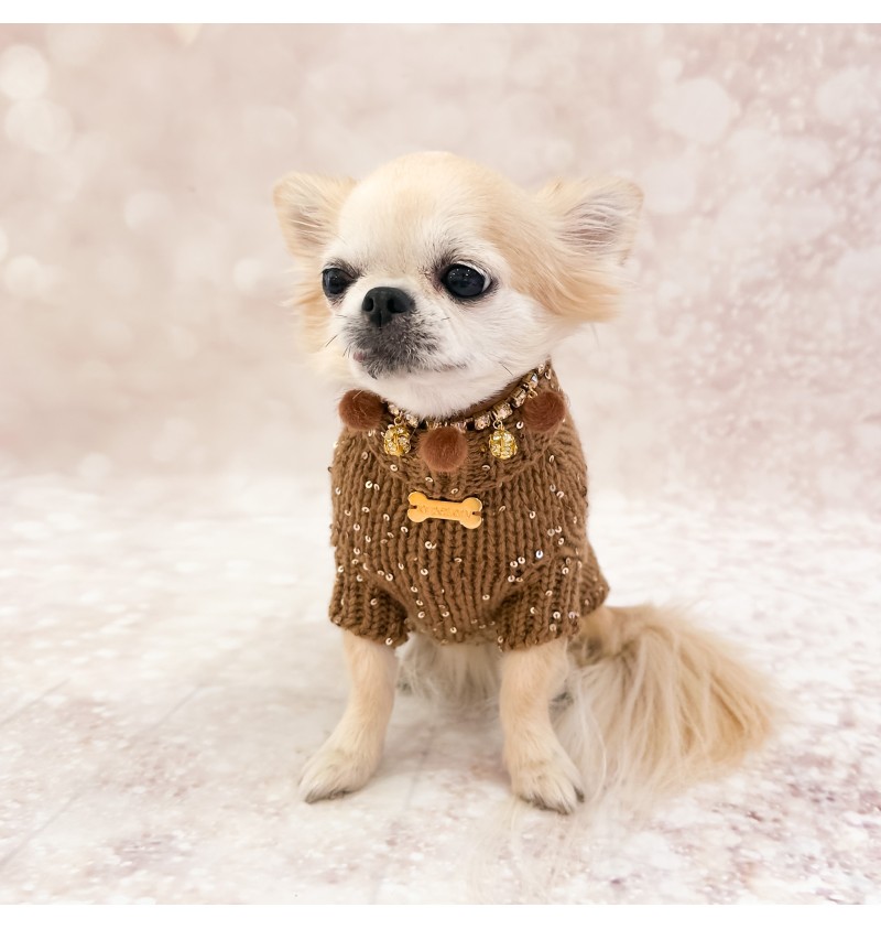 100% Cashmere Pull Diletta Caramel