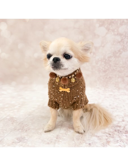 100% Cashmere Pull Diletta Caramel