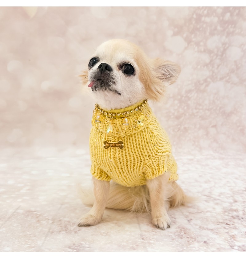 100% Cashmere Pull Diletta Yellow