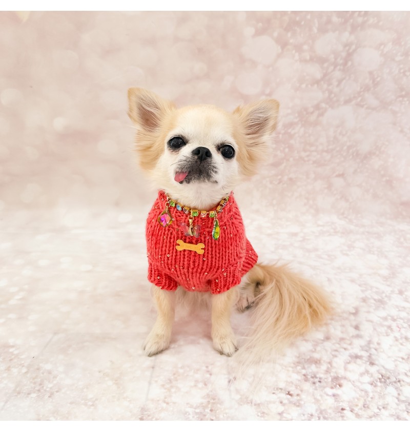 100% Cashmere Pull Diletta Coral