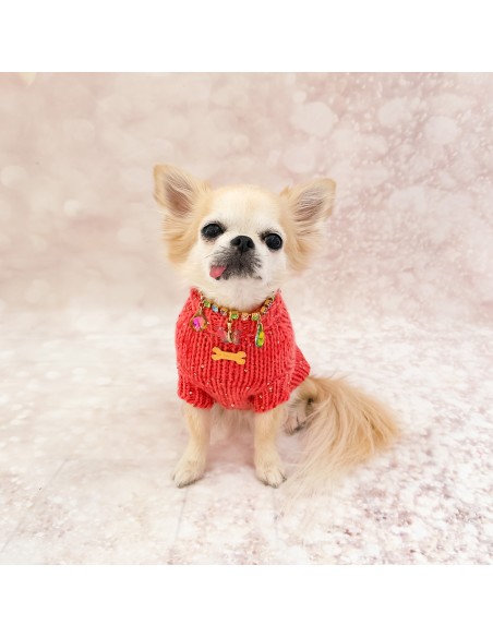 100% Cashmere Pull Diletta Coral