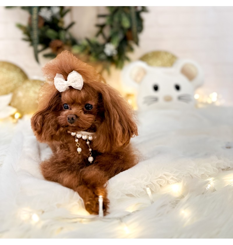 TopoMio Snow White Set Cover