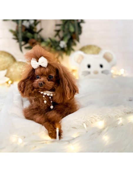 TopoMio Snow White Set Cover