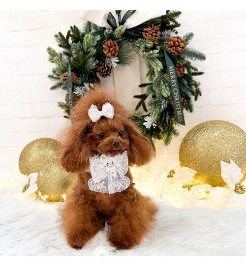 TopoMio Snow White Collar 2