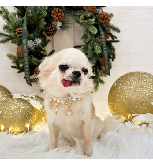 Snow White Pearls Collar 2