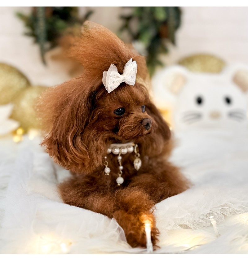 Snow White Pearls Collar