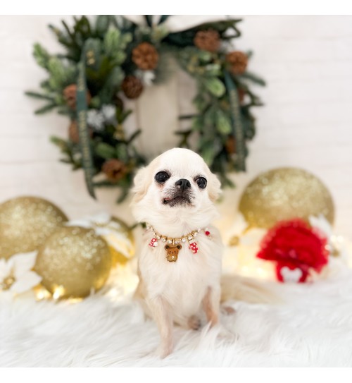 TopoMio Christmas Diamond Bijoux 2