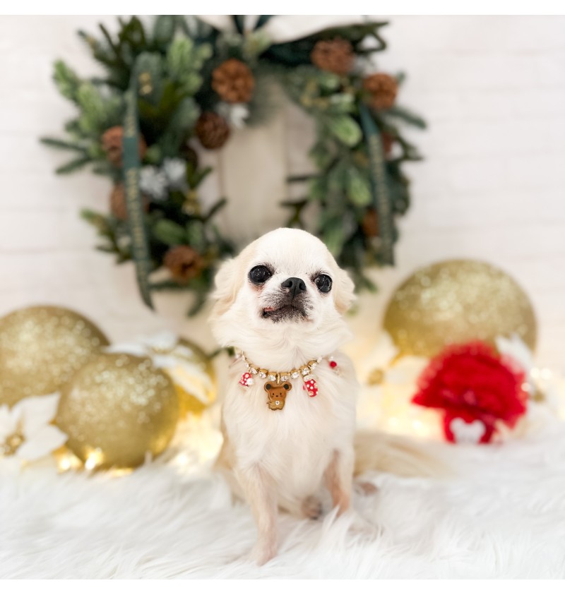 TopoMio Christmas Diamond Bijoux