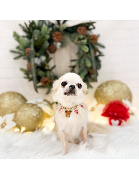 TopoMio Christmas Diamond Bijoux