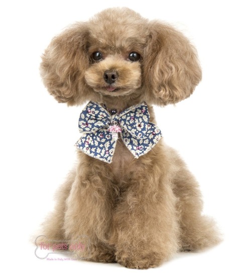 Liberty Mushroom Bijoux 2