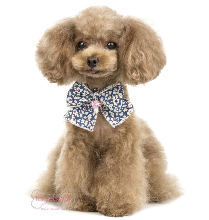 Liberty Mushroom Bijoux