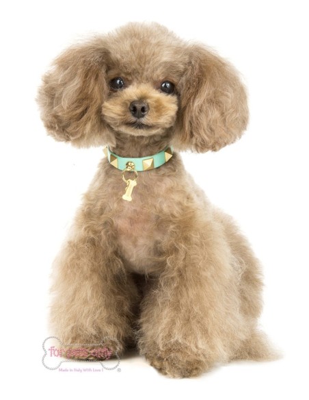 Chic And Stud Aqua Collar