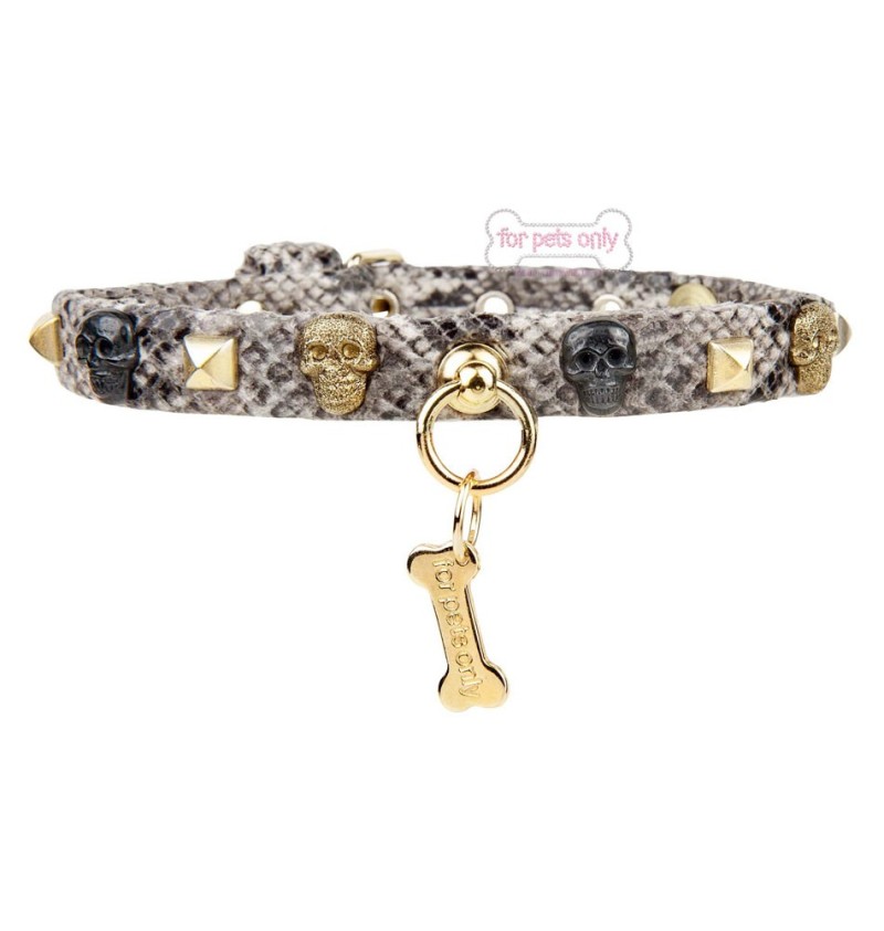 Skull And Stud Collar Python