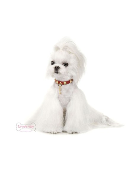 Chic And Stud Collar Rosso-Oro alcantara