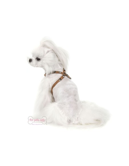 Chic And Stud Tabacco Harness