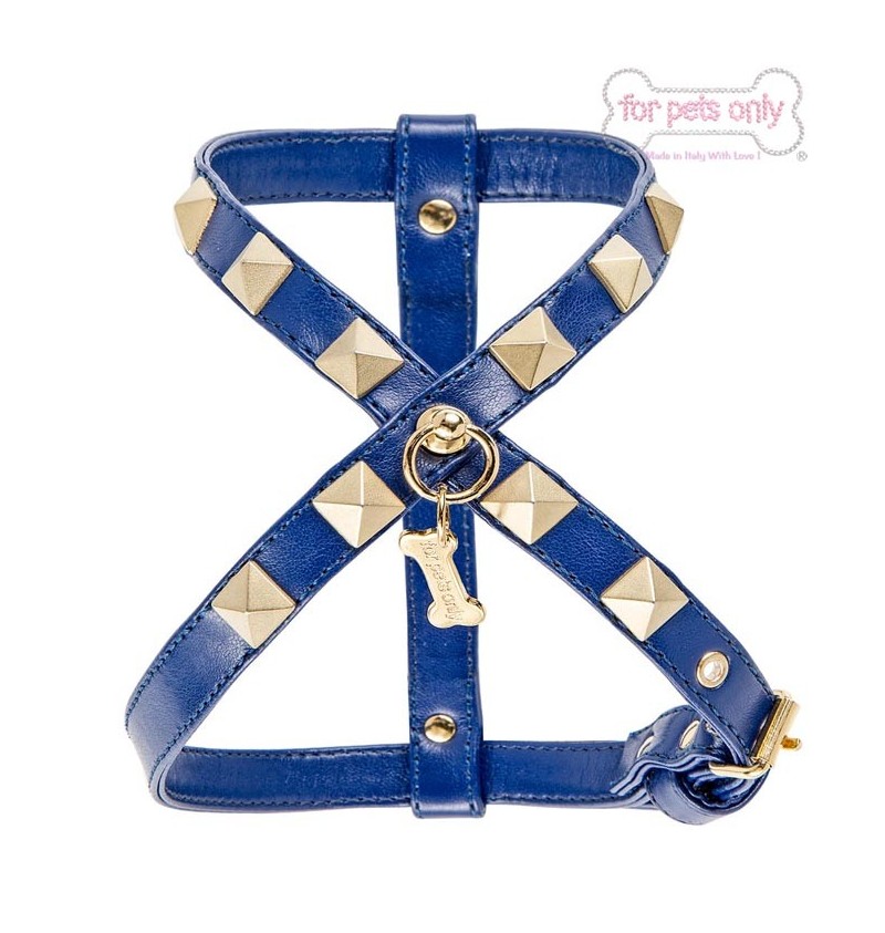 Chic and Stud Cobalt Harness