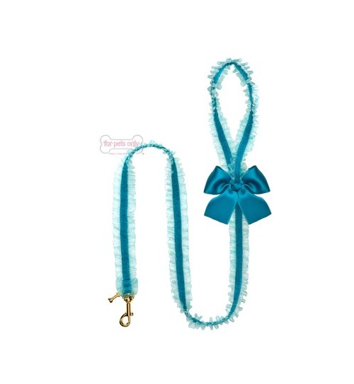 Lingerie Leash Teal