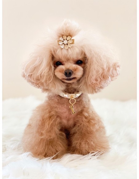 Love Me Collar Cream