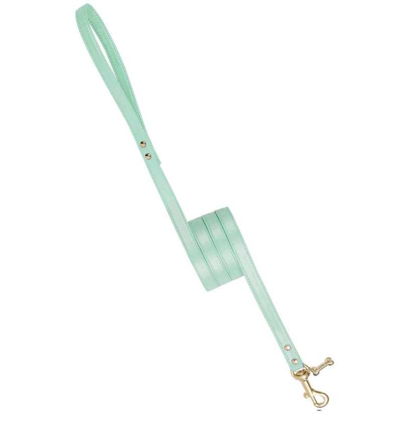 Plain Lead Aqua/Gold