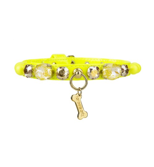 Candy Store Collar Yellow