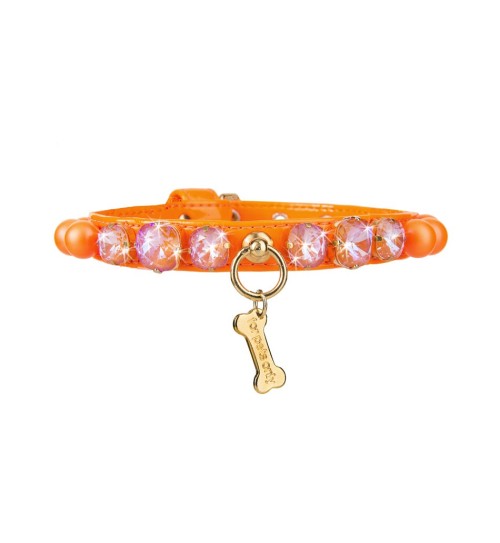 Candy Store Collar Orange