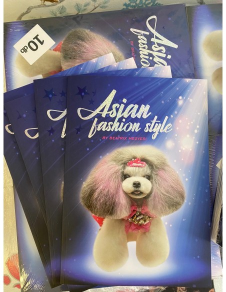 Asian Fashion Style Book