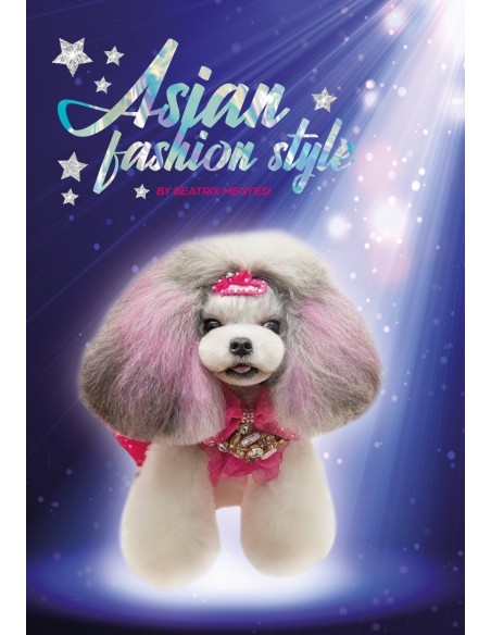 Asian Fashion Style Book
