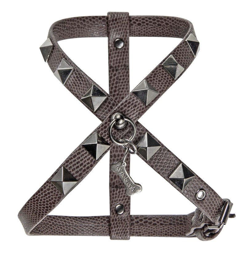 Chic And Stud Choco Harness