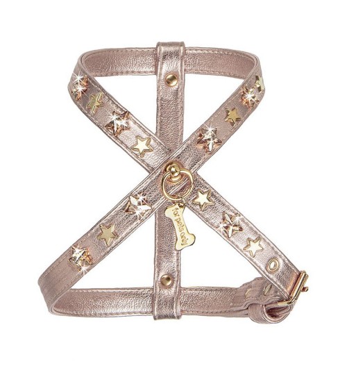 Chic and Stars Harness