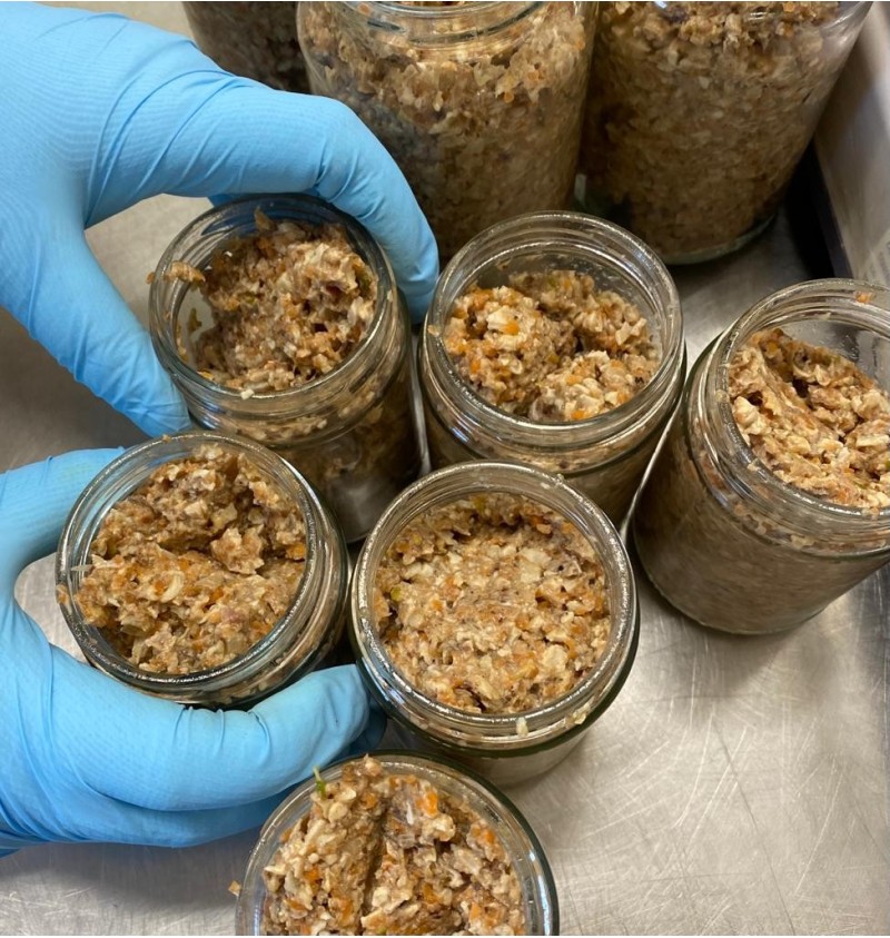 HEALTHY HOMEMADE FOOD-SHEEP