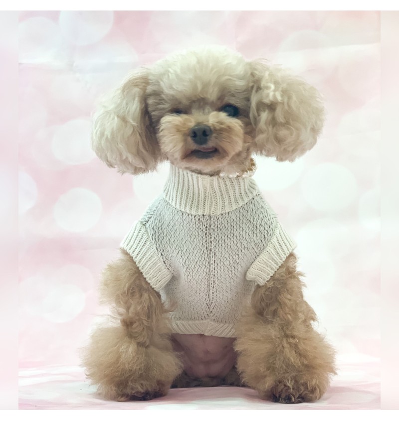 Scoiattolo Pull Cream