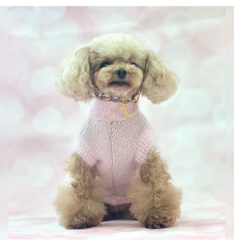 Scoiattolo Pull Pink