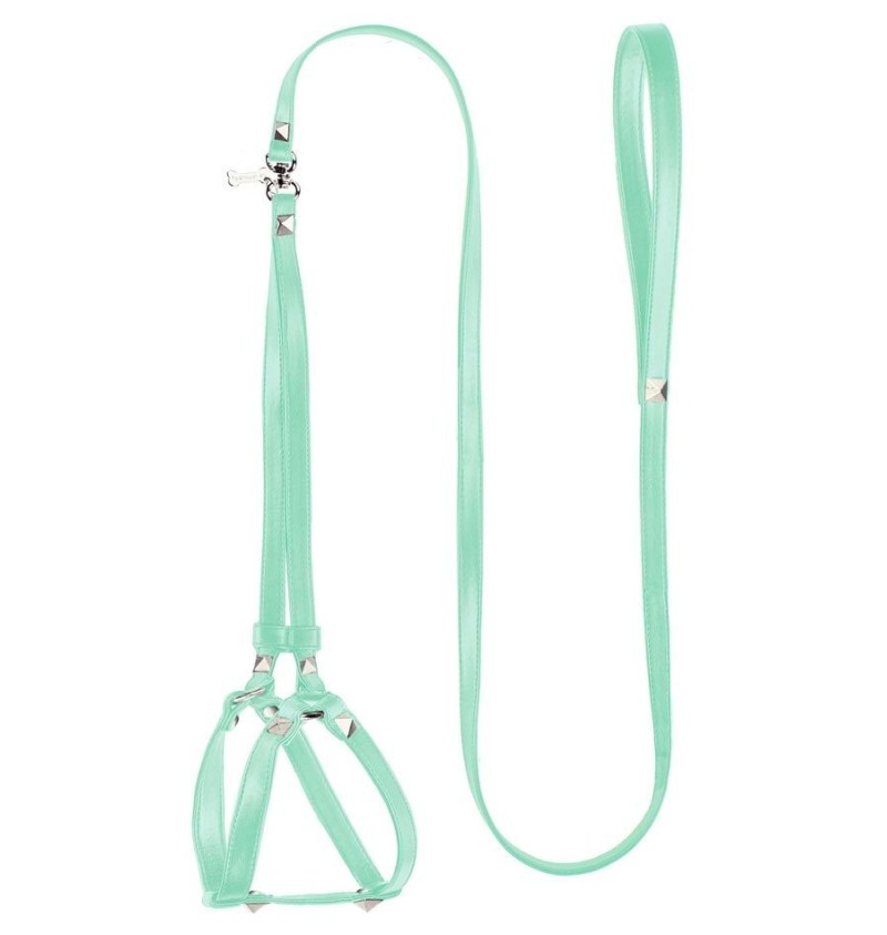One & Only Aqua/Silver