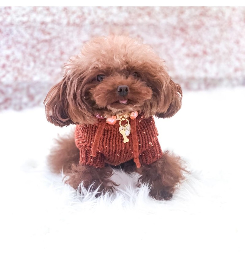 100% Cashmere & Silk Pull Hood/Ruggine