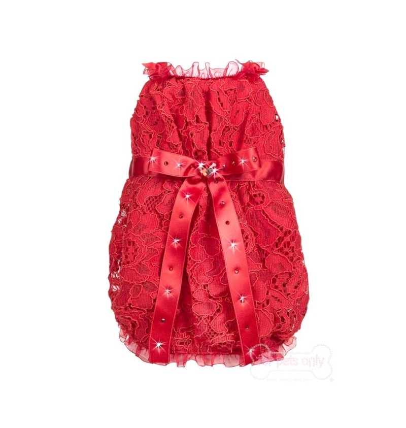 Red Passion Dress Lace For Pets