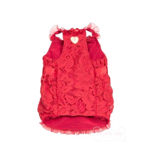 Red Passion Dress Lace For Pets 2