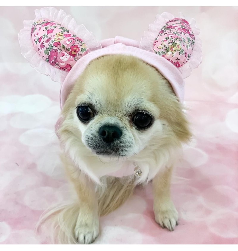 Bunny Love Pink T-Shirt