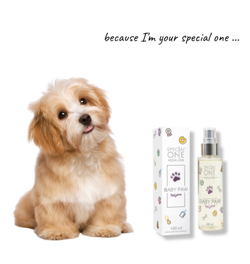 Kikinsci eau de parfum