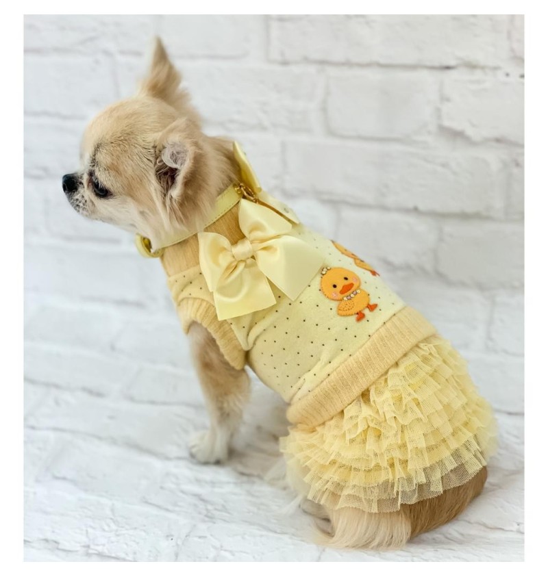 Ducky Ballerina Dress