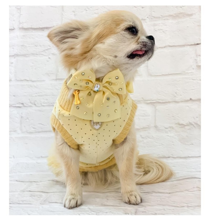 Ducky Ballerina Dress