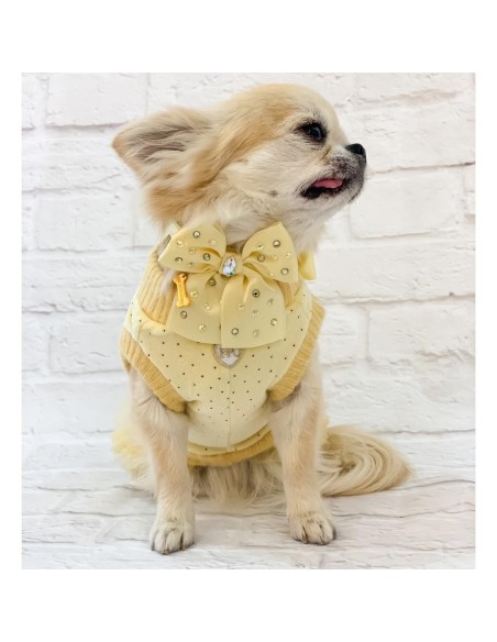 Ducky Ballerina Dress