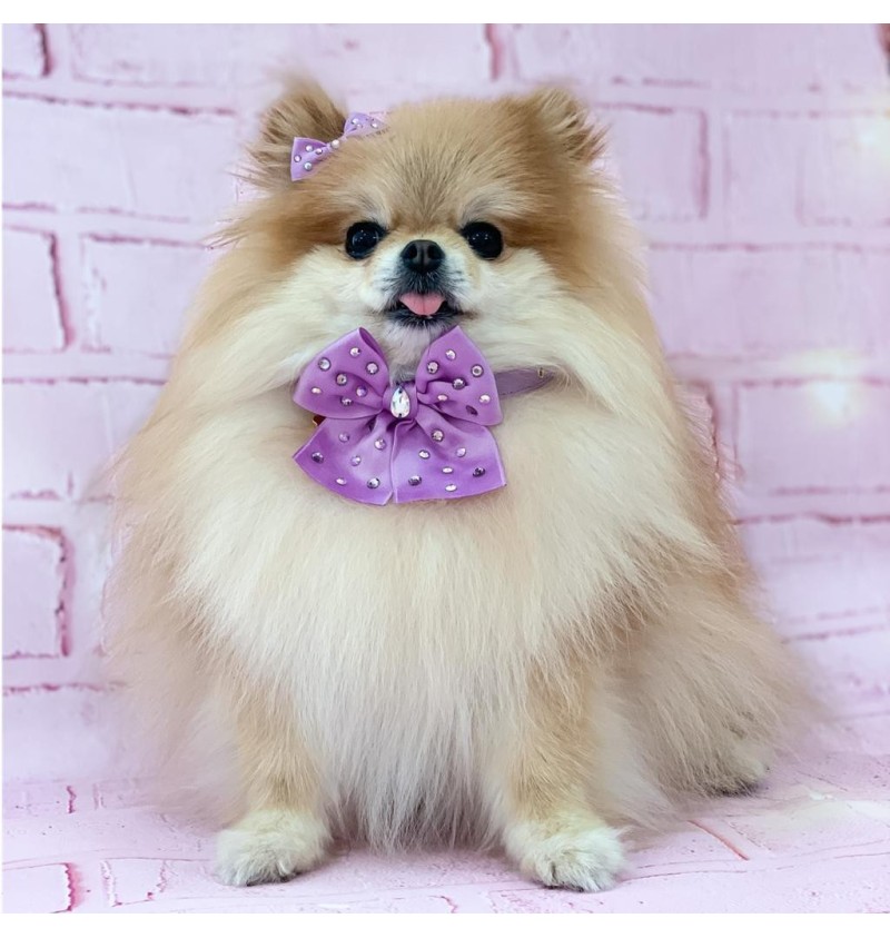 Sunshine Bow Lilac Hairclip