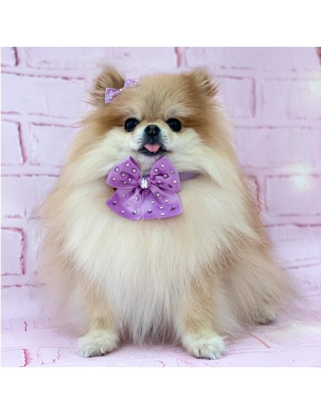 Sunshine Bow Lilac Hairclip