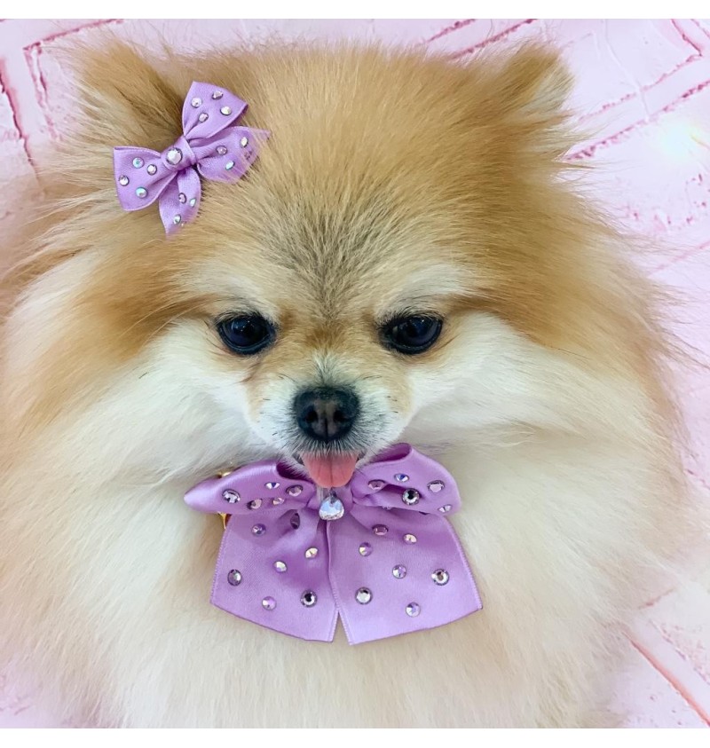 Sunshine Bow Lilac Hairclip