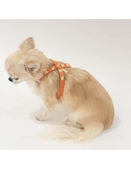 Chic and Stud Harness Orange