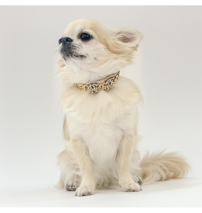Rock Panther Collar Gold