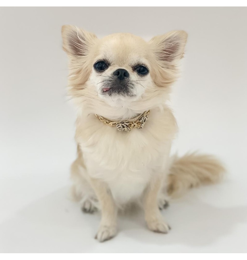 Rock Panther Collar Gold