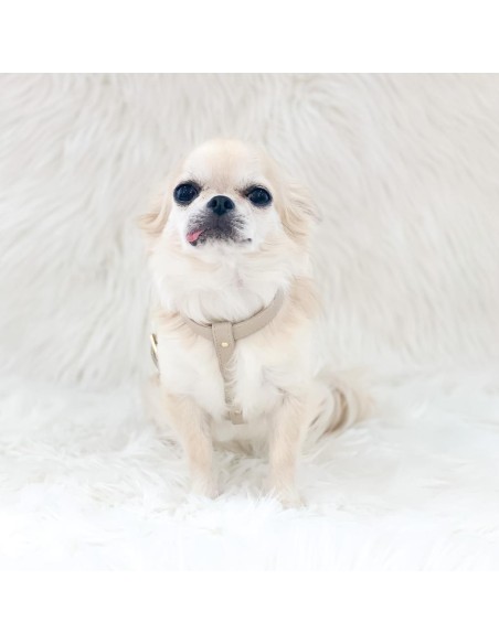 Chic and Stud Harness Greige